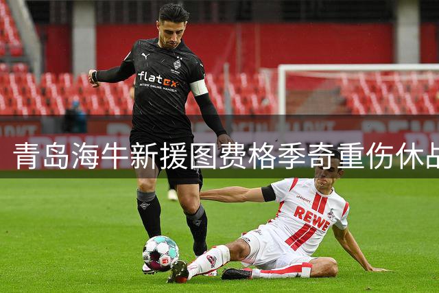 青岛海牛新援图费格季奇重伤休战 右肩脱位需手术治疗